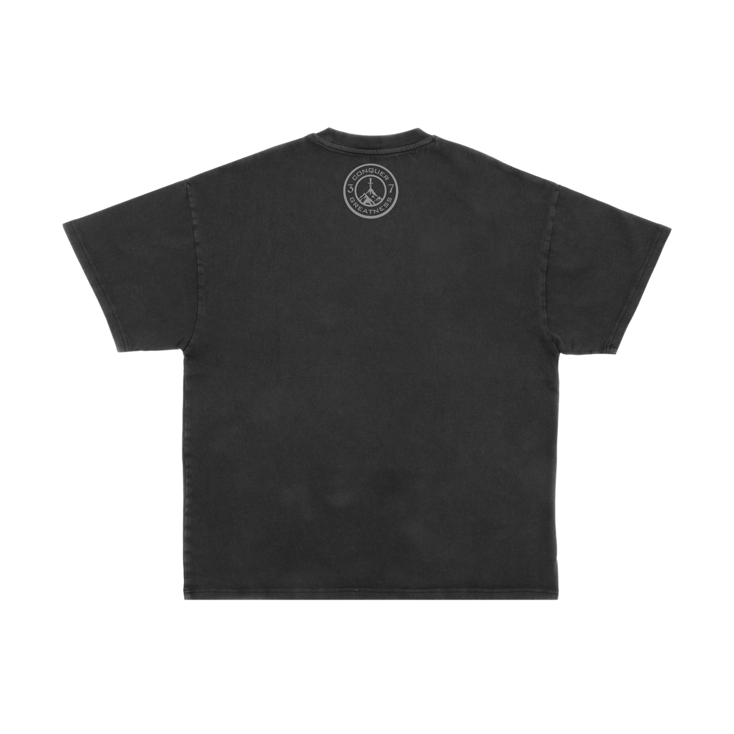 CG Acid Washed T-Shirt